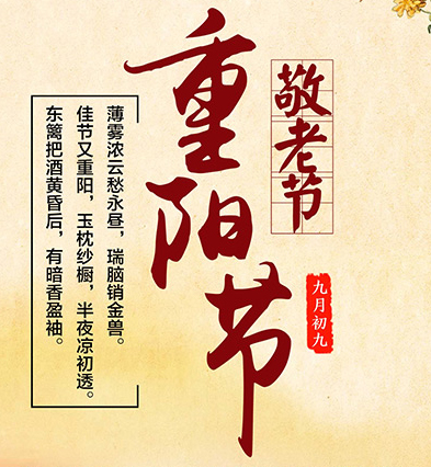 藍雨禾
