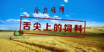 飼料廠廢氣治理專家分享魚粉的營養成分特點