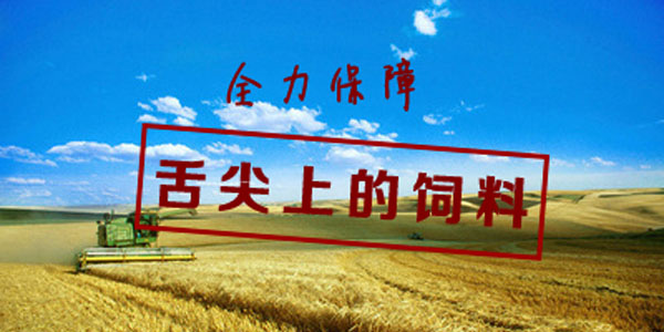 廢氣治理