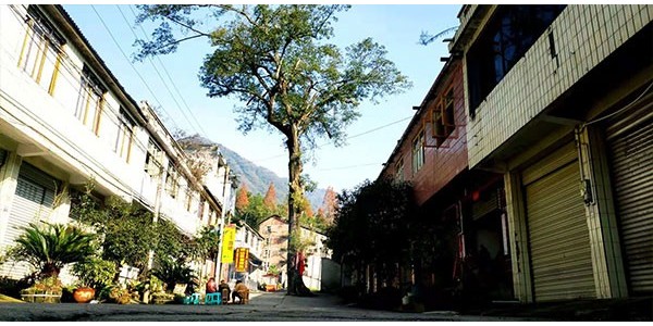 藍雨禾登山小隊清理鶴鳴山白色垃圾！